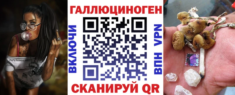 Псилоцибиновые грибы прущие грибы  Брюховецкая 